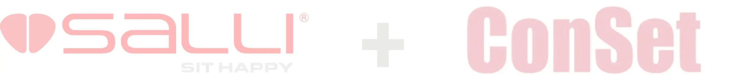 Salli und ConSet Logos