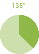 Kuchendiagramm 165Grad